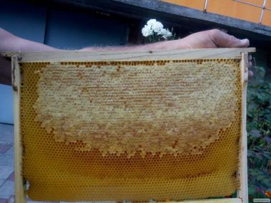Pakiety pszczele  Karnika 